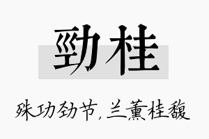 劲桂名字的寓意及含义