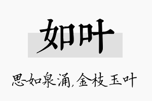 如叶名字的寓意及含义