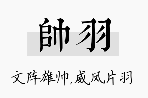 帅羽名字的寓意及含义