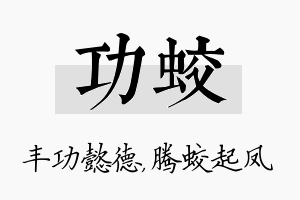 功蛟名字的寓意及含义