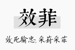 效菲名字的寓意及含义