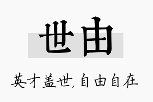 世由名字的寓意及含义