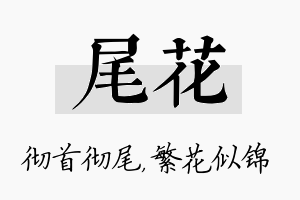 尾花名字的寓意及含义