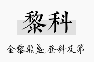 黎科名字的寓意及含义