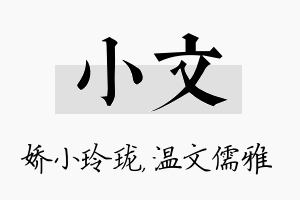 小文名字的寓意及含义