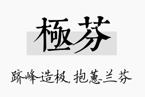 极芬名字的寓意及含义