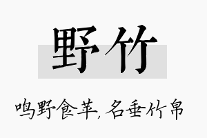 野竹名字的寓意及含义