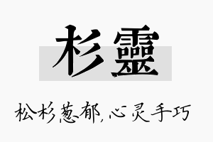 杉灵名字的寓意及含义