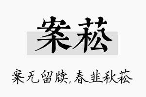 案菘名字的寓意及含义