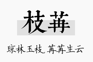 枝苒名字的寓意及含义