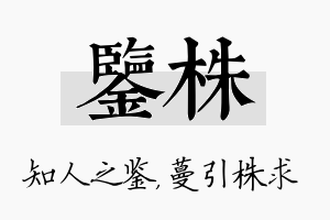 鉴株名字的寓意及含义