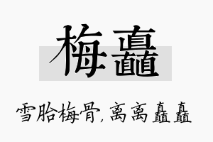 梅矗名字的寓意及含义