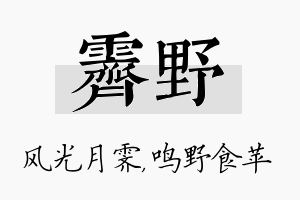 霁野名字的寓意及含义