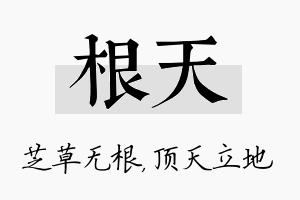 根天名字的寓意及含义