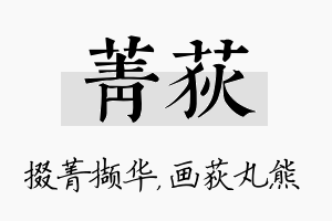 菁荻名字的寓意及含义