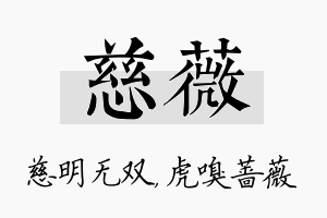 慈薇名字的寓意及含义