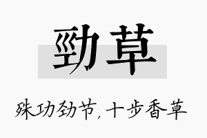 劲草名字的寓意及含义