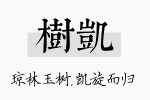 树凯名字的寓意及含义