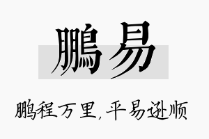 鹏易名字的寓意及含义