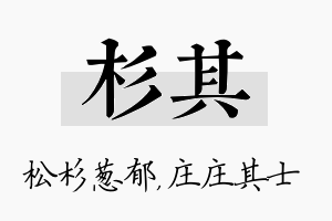 杉其名字的寓意及含义