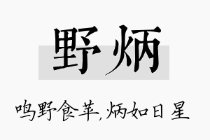 野炳名字的寓意及含义