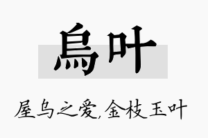 乌叶名字的寓意及含义