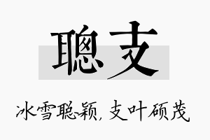 聪支名字的寓意及含义