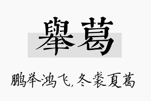 举葛名字的寓意及含义