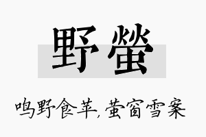 野萤名字的寓意及含义