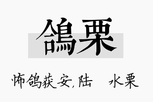 鸽栗名字的寓意及含义