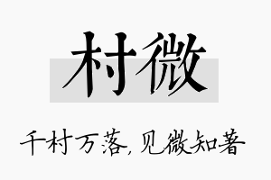 村微名字的寓意及含义