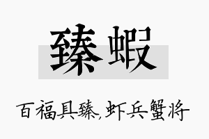 臻虾名字的寓意及含义