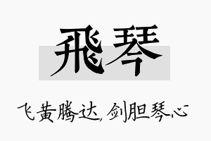 飞琴名字的寓意及含义