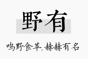 野有名字的寓意及含义