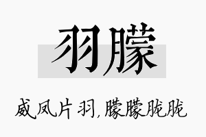 羽朦名字的寓意及含义