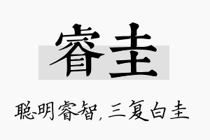 睿圭名字的寓意及含义