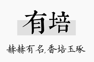 有培名字的寓意及含义