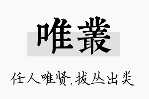 唯丛名字的寓意及含义