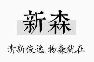 新森名字的寓意及含义