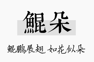 鲲朵名字的寓意及含义