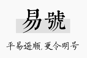 易号名字的寓意及含义