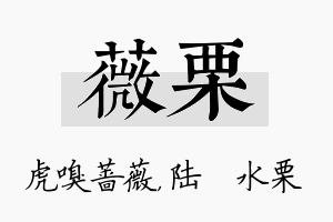 薇栗名字的寓意及含义