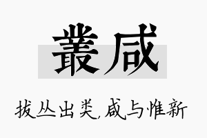 丛咸名字的寓意及含义