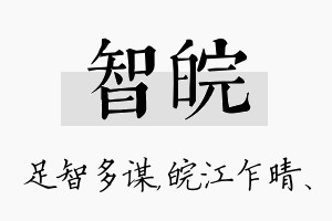 智皖名字的寓意及含义