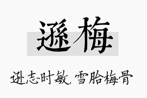 逊梅名字的寓意及含义