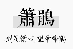 箫鹃名字的寓意及含义