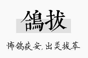 鸽拔名字的寓意及含义