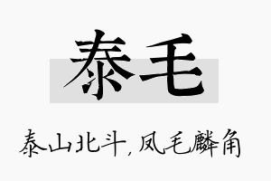 泰毛名字的寓意及含义