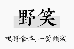 野笑名字的寓意及含义