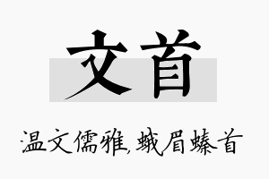 文首名字的寓意及含义